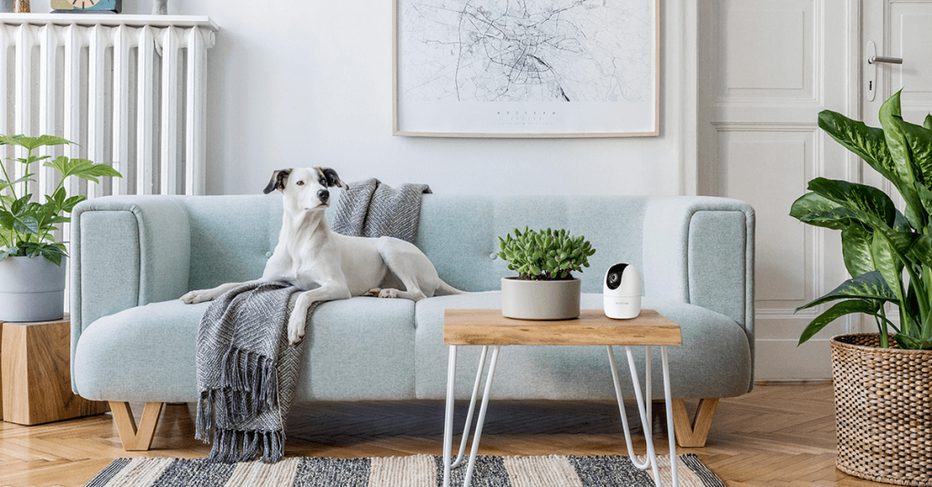 Câmeras internas: principais dúvidas e respostas.